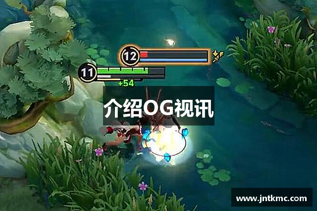 介绍OG视讯